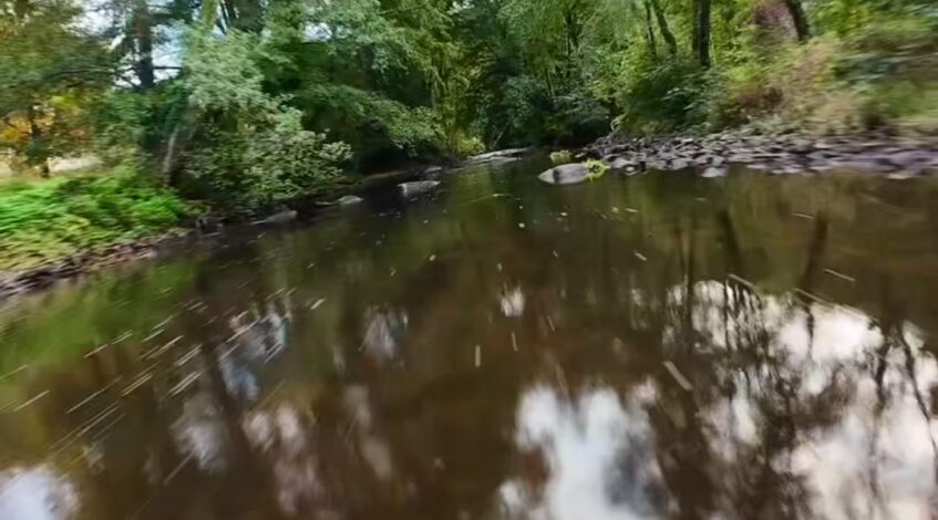 , Tiktok (drone): Balade du soir