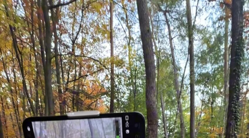 , Tiktok (影视制作): Apprendre à réaliser un film d’horreur avec un téléphone