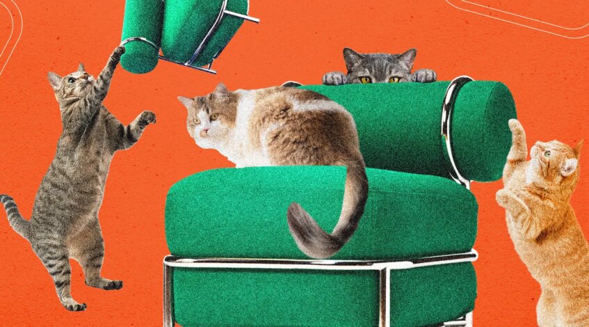 , WEB: La nouvelle chaise gonflable d’Ikea a été testée par des chats