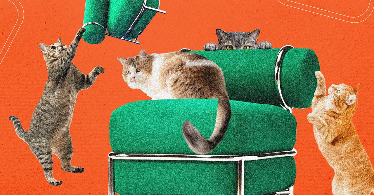 , WEB: La nouvelle chaise gonflable d’Ikea a été testée par des chats