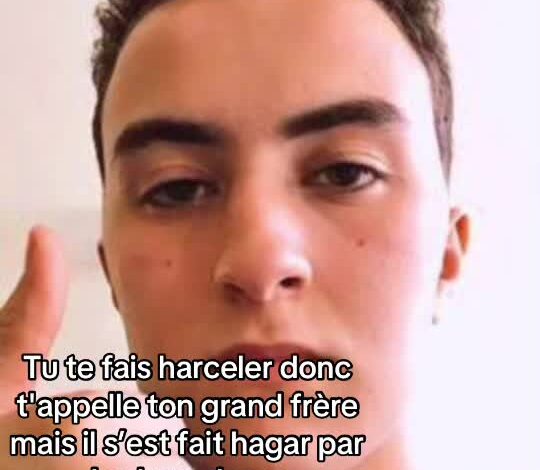 , Tiktok (YouTubeur): Hugoposé, de son vrai prénom Hugo, est un créateur de contenu français né l
