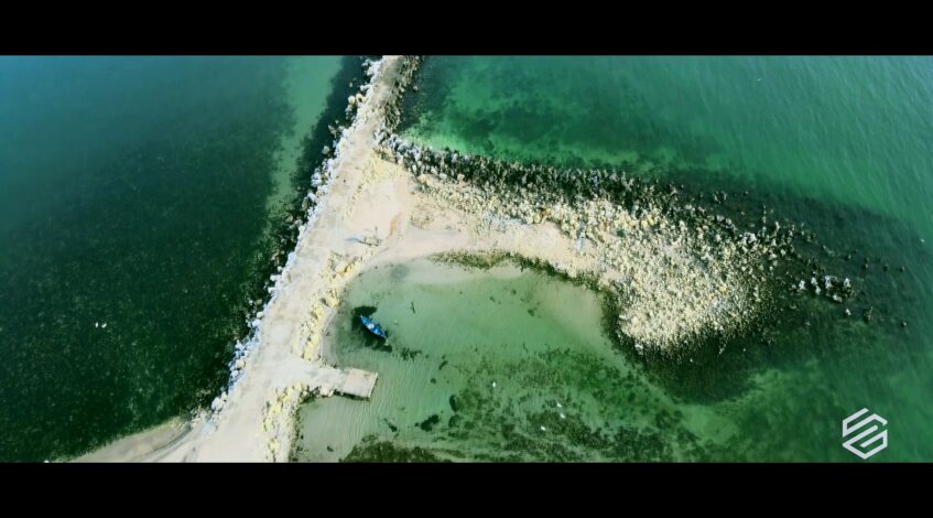 , drone,Sea & Swans (drone) sur Daily Motion
