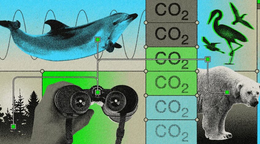 , WEB: Comment une organisation scientifique citoyenne vise à préserver les lieux qu’elle amène les touristes à étudier