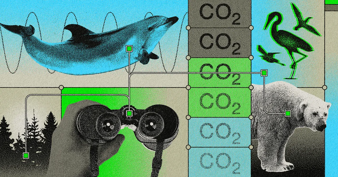 , WEB: Comment une organisation scientifique citoyenne vise à préserver les lieux qu’elle amène les touristes à étudier