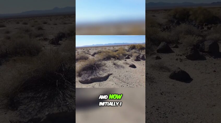 , (rodaje con dron): A Whole Pile of Random Volcanic Rocks in the Open Desert!