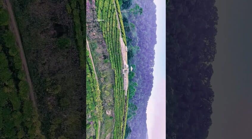 , PILOT FREELANCE #drone #travel